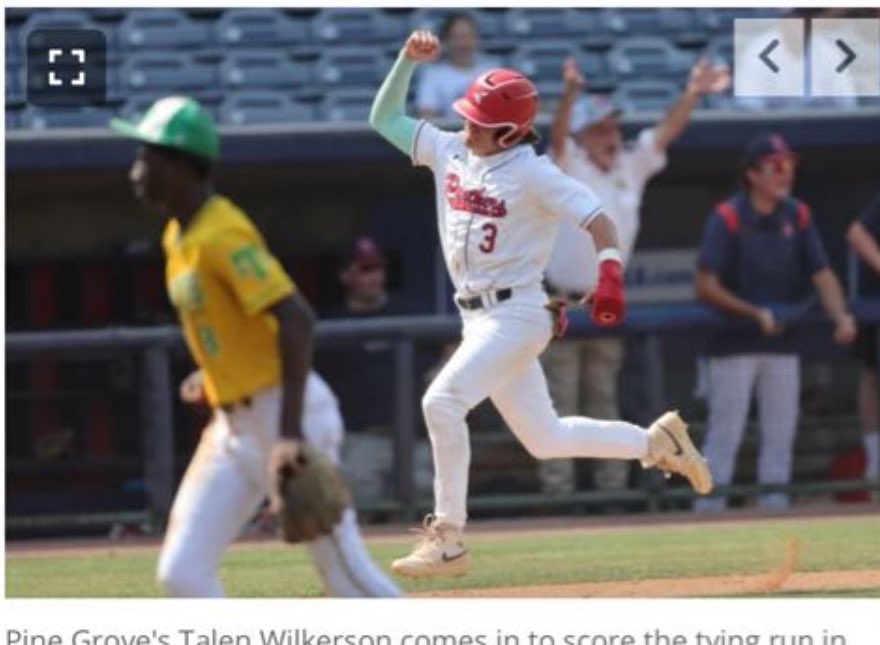 Pine Grove Panthers Baseball ⚾️ tweet media