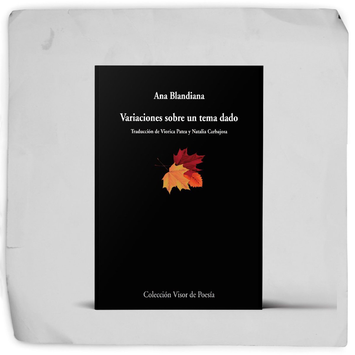 #PoetasVisor La poeta rumana Ana Blandiana es premio Princesa de Asturias. #visordepoesía #visorlibros