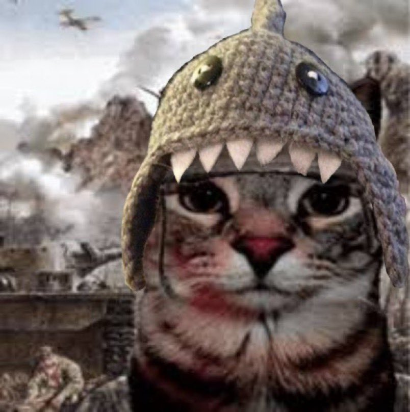 orama's tweet image. i just entered