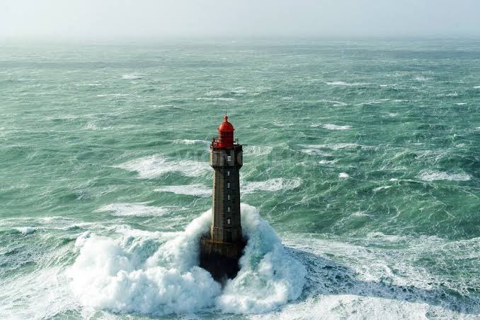 𝐃𝐕𝐂𝐄 🌲🏴☠️⚙️🗡️ tweet media