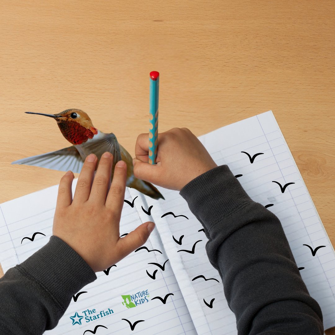 VanBirdCeleb's tweet photo. Even though Bird Celebration is over, you can still sing your birdsong by participating in some photography and writing competitions! 

Youth Writing Competition (Due May 31)
https://t.co/tG0PtBVo2E

Nature Photo Competition (Due Aug 11)
https://t.co/OOKIaDsOkr https://t.co/OyA5rthO3c