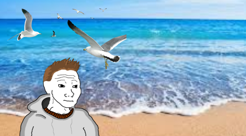 Whos ready for $BLOOMER EP 2???
$BLOOMER IS TRADING NOW ON $BASE

Latest Video: youtube.com/watch?v=UeFWK7…

Website : bloomersummer.xyz
Telegram : t.me/BloomerSummer
Twitter: x.com/BLOOMERSSUMMER