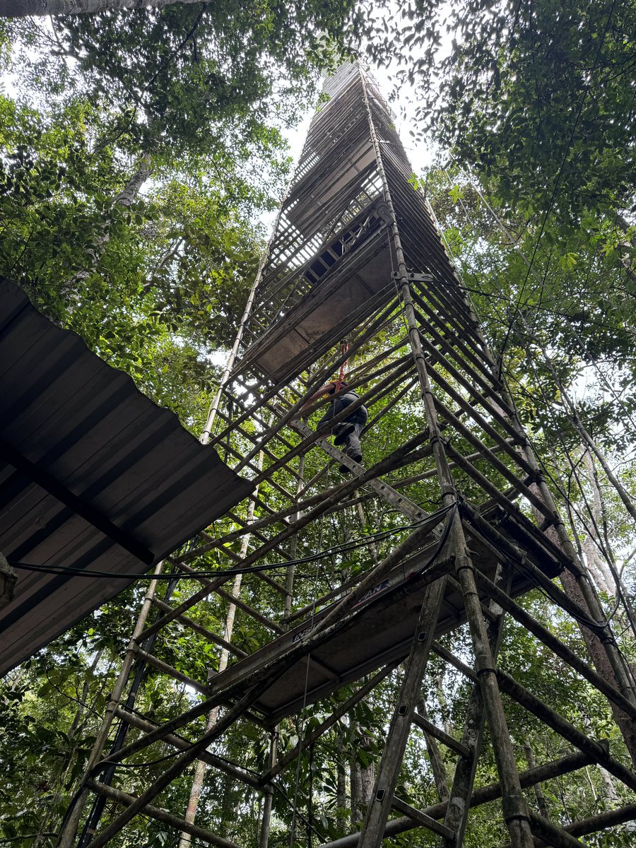 EricaSmithwick's tweet image. Very cool visiting (and climbing!) one of the LBA flux towers outside of Manaus today.  Great work by our Brazilian colleagues.