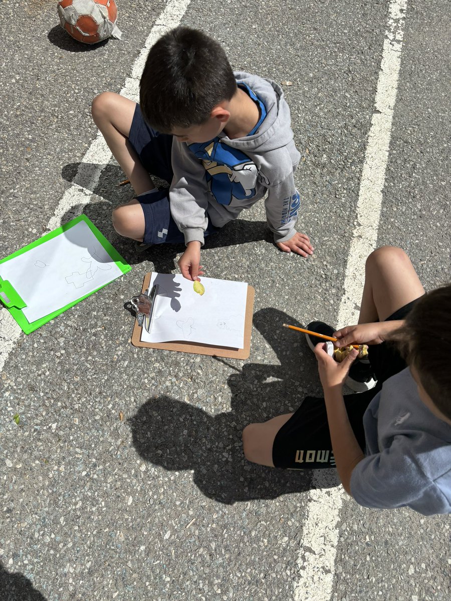 Ms. Panetta tweet media