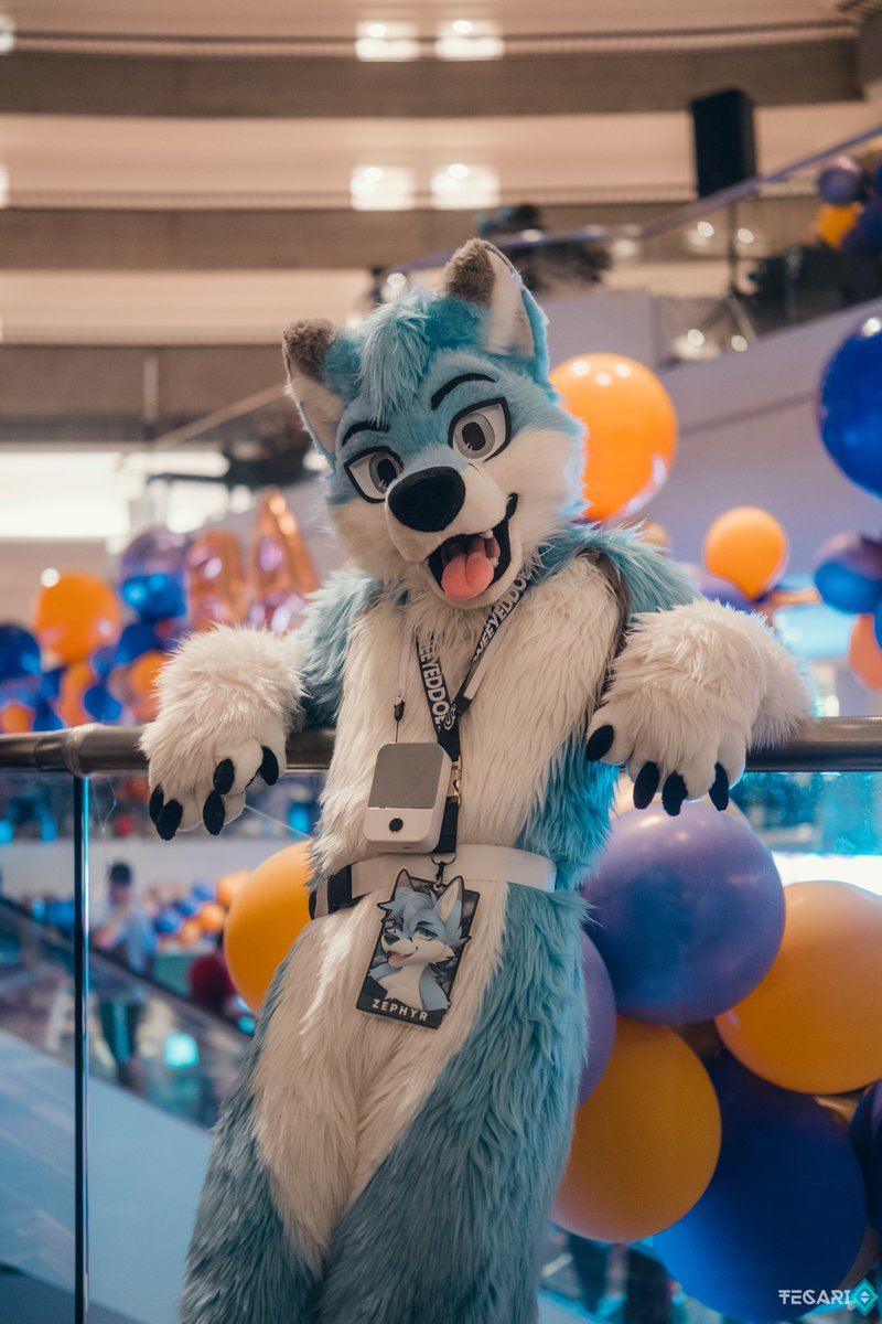 hangin' around where the party is 😛🎈 

📸: <a href="/tecariowolf/">Tecario 🔜 NFC</a> 
🧵🪡✂️: <a href="/wolf_daz/">Daza</a> 

#FursuitFriday #FWA #FWA2024