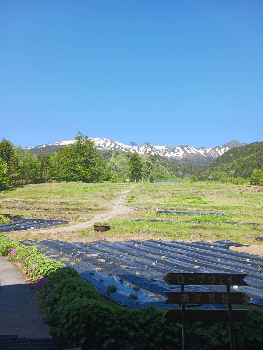 ontakeropeway's tweet photo. 本日９時から運行開始予定！週末営業します🎵８時山麓17℃、山頂駅9℃
残雪の御嶽山に遊びに来てください。
#おんたけロープウェイ#ゴンドラ #ロープウェイ #絶景 #観光 #木曽観光 #長野観光 #展望カフェ #御嶽山 #ランチ #ティータイム  #美しい #絶景 #ホテル木曽温泉黄金の湯 #グランピング #残雪 https://t.co/Z44LsX5c92