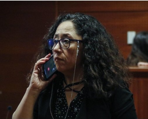 Ustedes eran muy jóvenes, pero la fiscal Chong fue la encargada de investigar el fraude fiscal de los falsos exonerados y los aportes fraudulentos de Odebrecht a la campaña de Bachelet, y decidió NO PROSPERAR en la investigación. 

                                     FIN.