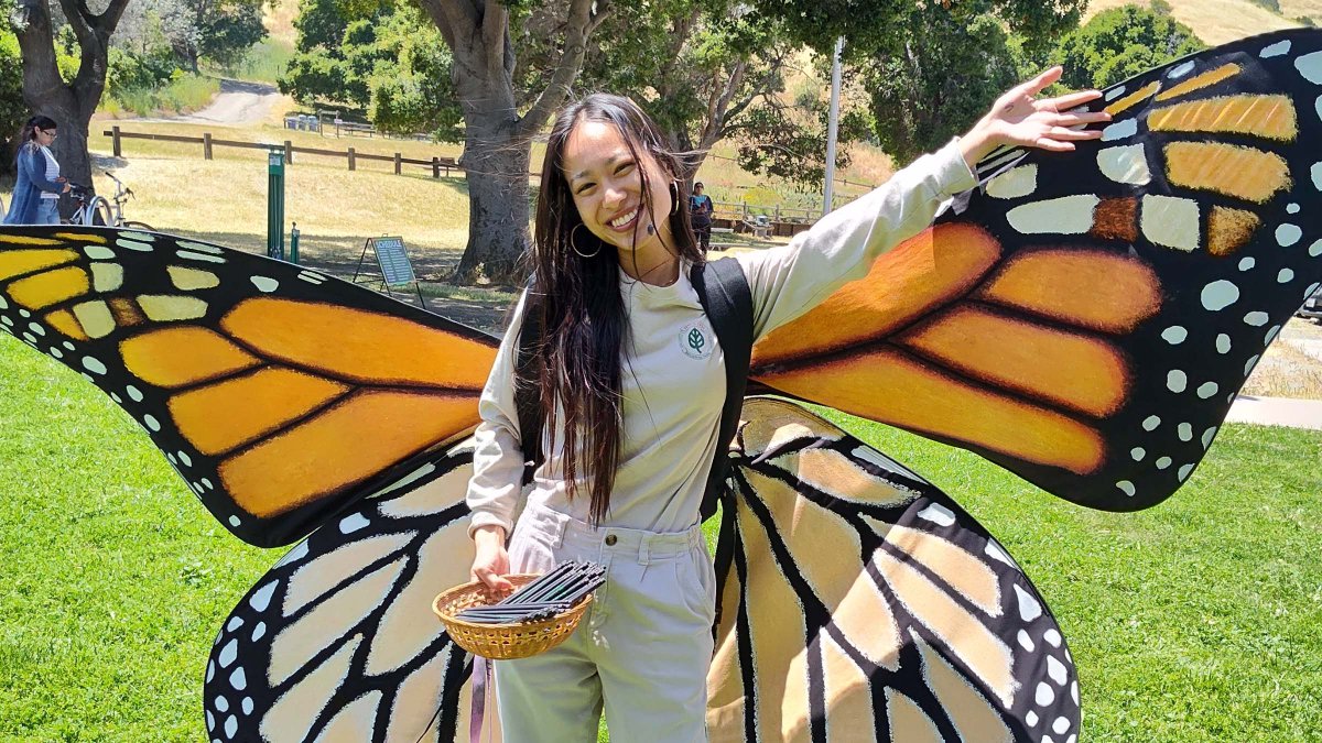 Join us at the Butterfly & Bird Festival on June 2 at Coyote Hills Regional Park! Explore a vibrant array of butterflies, birds, and local pollinators while supporting their health in the Bay Area landscape & celebrate the Park District's 90th Anniversary! bit.ly/3yBPAkb