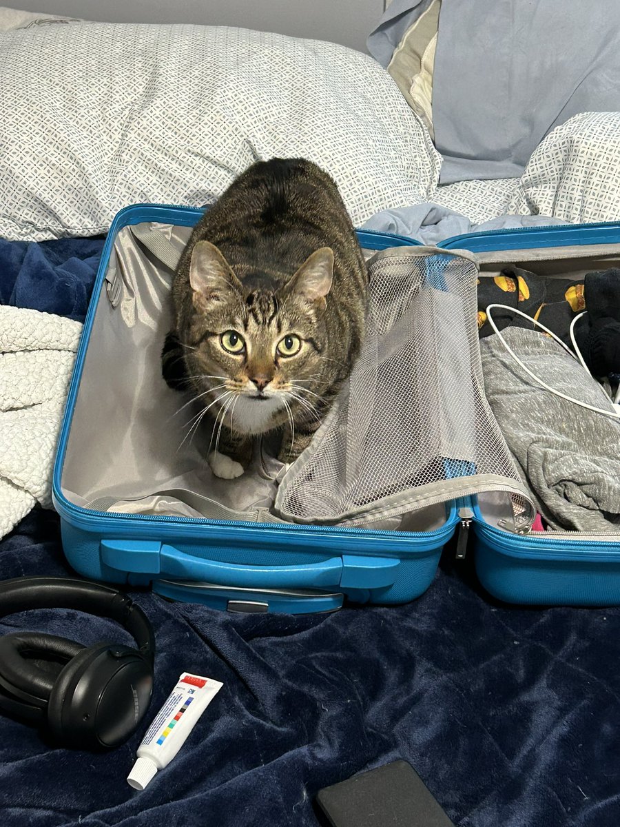 obsessedwithstabler #SuckItAckles tweet media