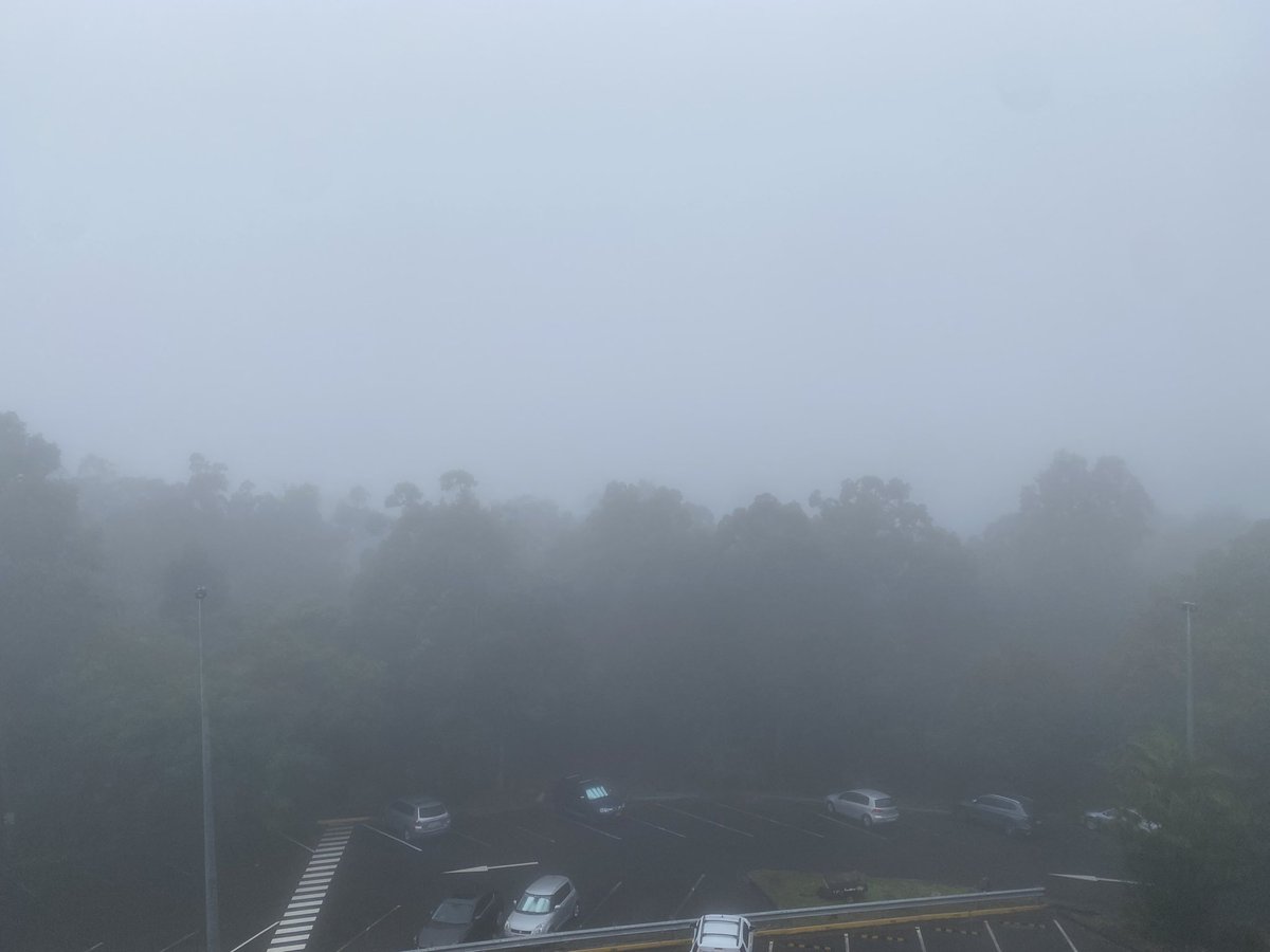 Laura Dymock (@lauradymock) on Twitter photo The view from the 7News Brisbane office is normally spectacular. Not today..
<a href="/7NewsBrisbane/">7NEWS Queensland</a> #fog The view from the 7News Brisbane office is normally spectacular. Not today..
<a href="/7NewsBrisbane/">7NEWS Queensland</a> #fog