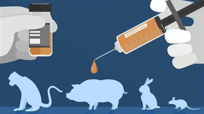 CIAAction's tweet photo. Action of the Day: SIGN TO END THE USE OF ANIMALS IN BIOMEDICAL RESEARCH, TRAINING AND TESTING

https://t.co/uBQEPo06WK

#CIAA #Compassionisanaction #Animalrights #Activism #Vegan #Crueltyfree #Animaladvocacy #Veganactivism #Veganism https://t.co/4XQtxaLlMT