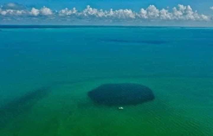 #Chetumal |  ¡Impresionante ! Las  imágenes aéreas y subacuáticas de un enorme agujero azul en la Bahía de #Chetumal; sería este gigantesco círculo subacuático el más grande del mundo.

El misterioso agujero azul de la Bahía de Chetumal se ha convertido en el más grande del mundo