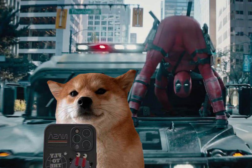 Selfie Dog tweet media
