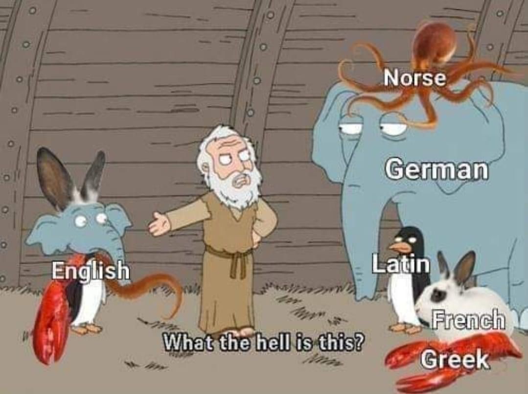 I shared a simpler version of this years ago and am pleased to see a more  complex and linguistically correct version 🤣