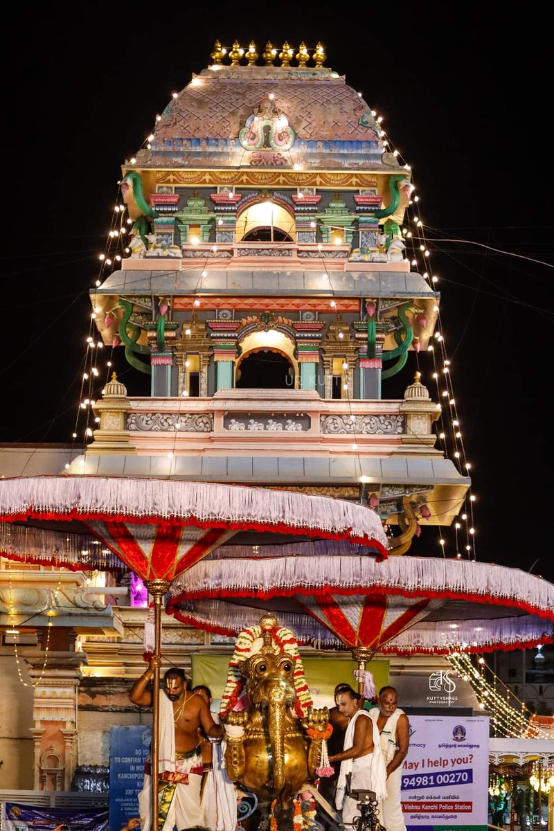 Kanchi, Sri Varadhan Vaikasi Brahmotsavam Day 5 Evening - Yaali Vahanam