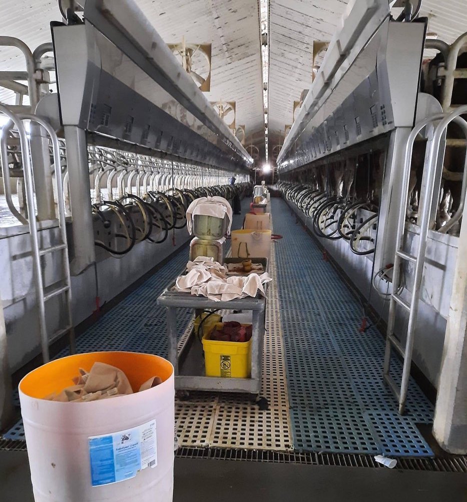 A second confirmed case of H5N1 avian flu has been reported, this time in Michigan. Once again, the infected person is a dairy farm worker. Our alarm continues to grow. 1/