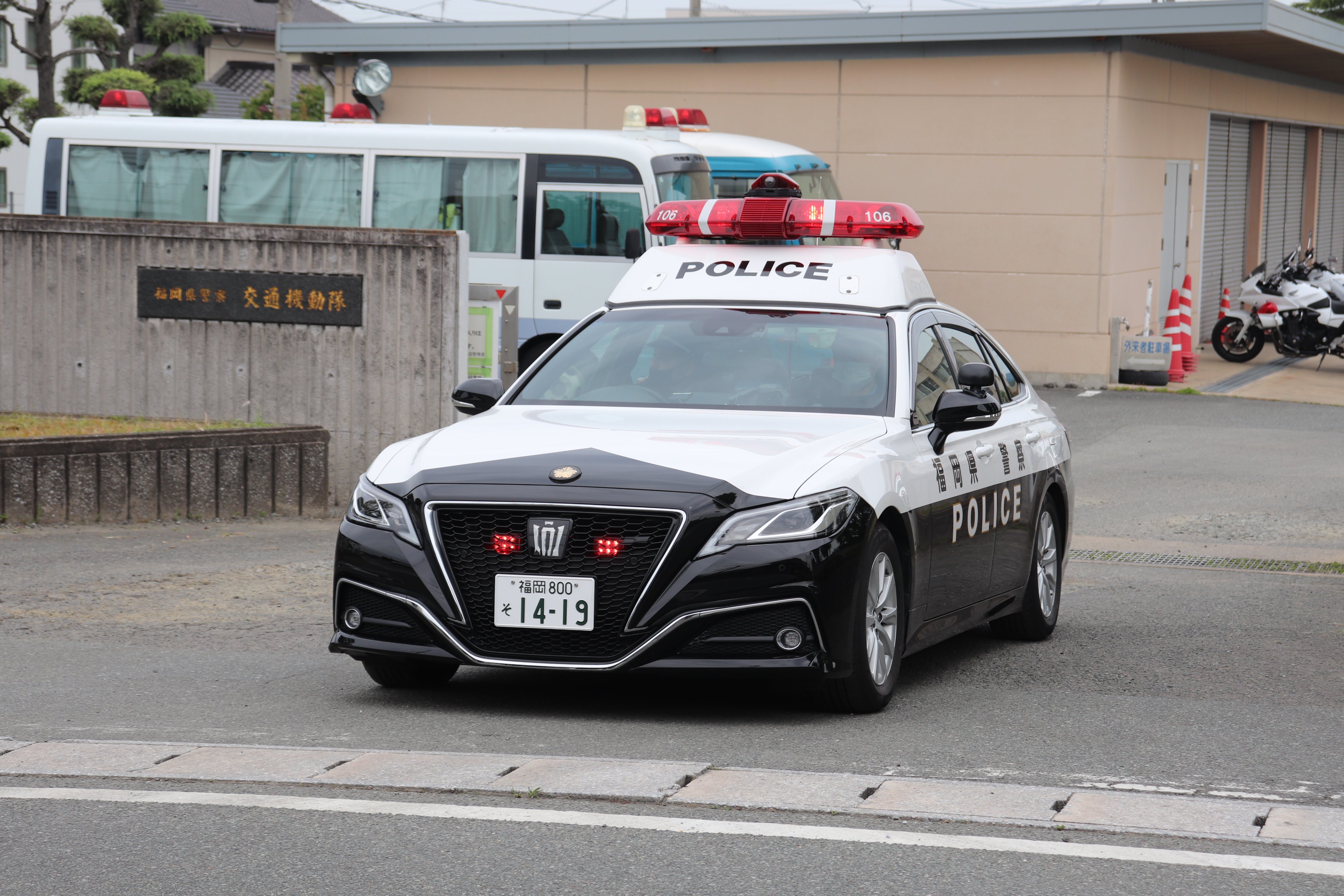 福岡発　5速MT H81W!! Amazon.com: IMELBUFF 8-94390279-0 029600-0570 Revolut Speed