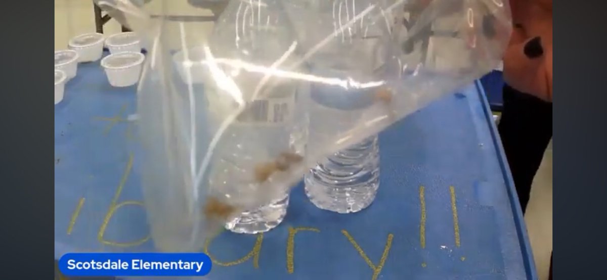 Valerie Renteria ITT tweet media