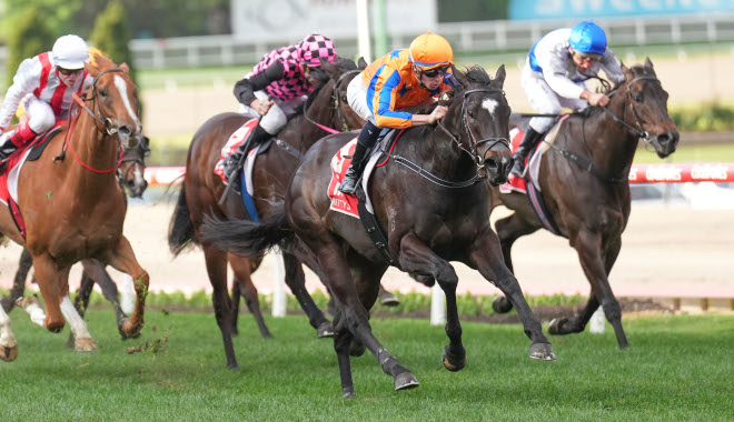 IMPERATRIZ: Win #14 of 19 saw the wonderful mare smash the 1000m track record @TheValley in the Group 2 McEwen Stakes with Michael Dee (former @TeAkauRacing apprentice) aboard! It was a scintillating victory from the 7 gate defeating Rothfire & Gigakick ...