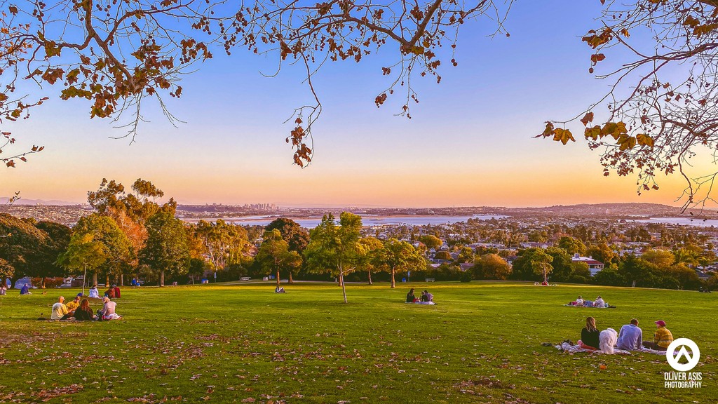 Kate Sessions Park at sunset - San Diego. #sandiego #katesessionpark #sandiegoview #sandiego_ca #sandiegosunsets #sdsunsets