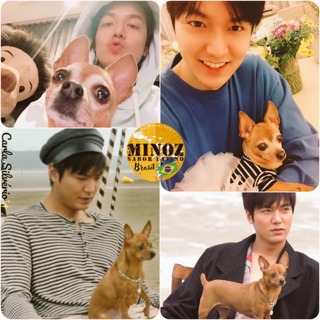 Muito amor envolvido 😍❤️ 
@ActorLeeMinHo  e #Choco 🐕🤗

#BoaNoite
#Minoz

#2ºaniversariominozsaborlatinobrasil
#felizaniversariominozsaborlatinobrasil
#feliz2ºaniversario
#Leeminho #이민호 #イミンホ 
#PACHINKO 
#별들에게물어봐 #AsktheStars 
#whenthestarsgossip
#Pachinko_Season2