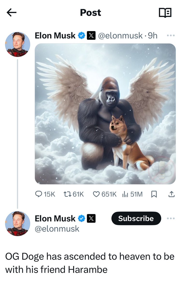 Elon Musk still supports the #Dogecoin
