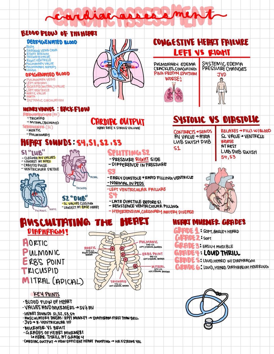 Cardiac assessment

#meded #medx #CardioEd #CardioTwitter #cardiology #cardiovascular