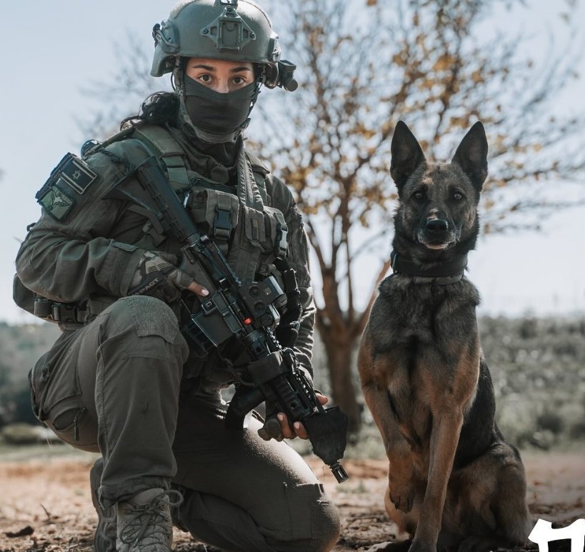 VividProwess's tweet image. Give this photo a title. 🦁🐶