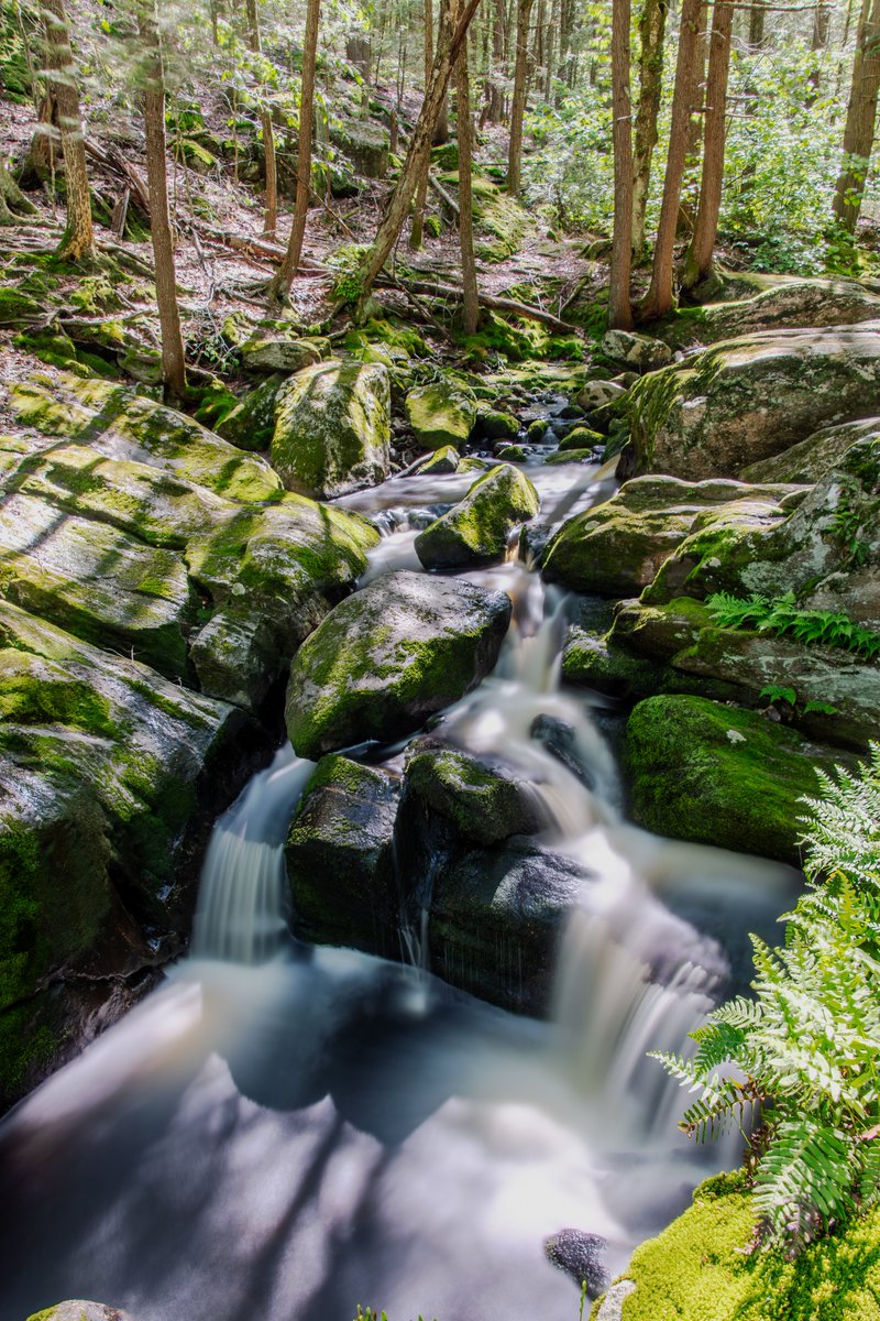 Enders brook falls
#photography, #366photodgraphy2024, #potd2024, #photoaday, #everydayphotographer, #photooftheday, #pad2024-145, #endersbrookfalls, #waterfalls, #newenglandwaterfalls, #longexposure, #inthewoods, #motionblur