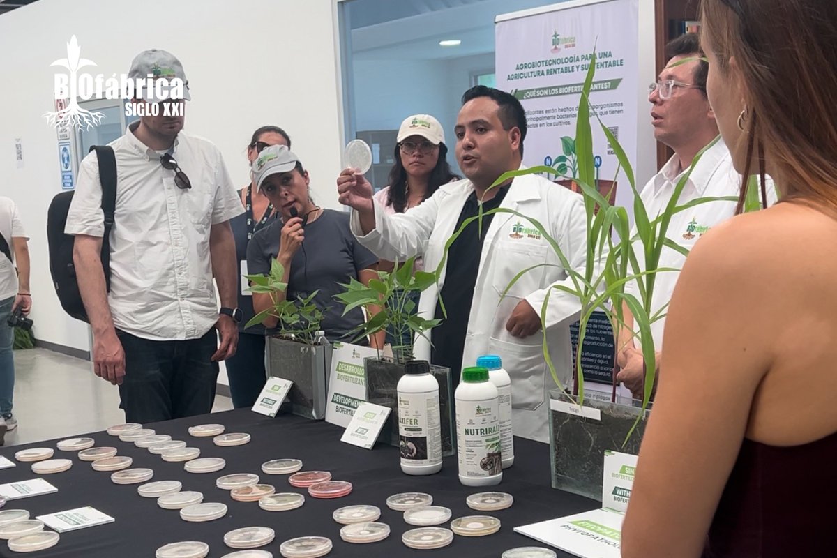 Biofábrica Siglo XXI tweet media