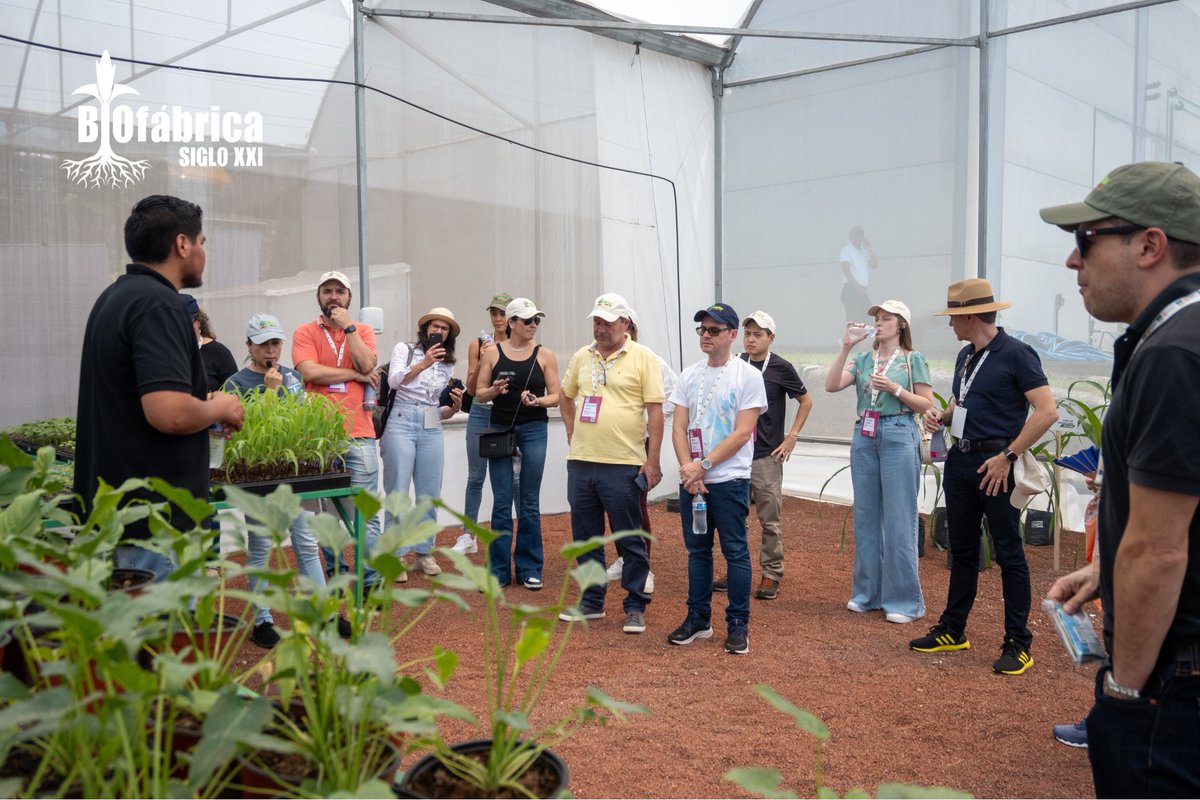 Biofábrica Siglo XXI tweet media