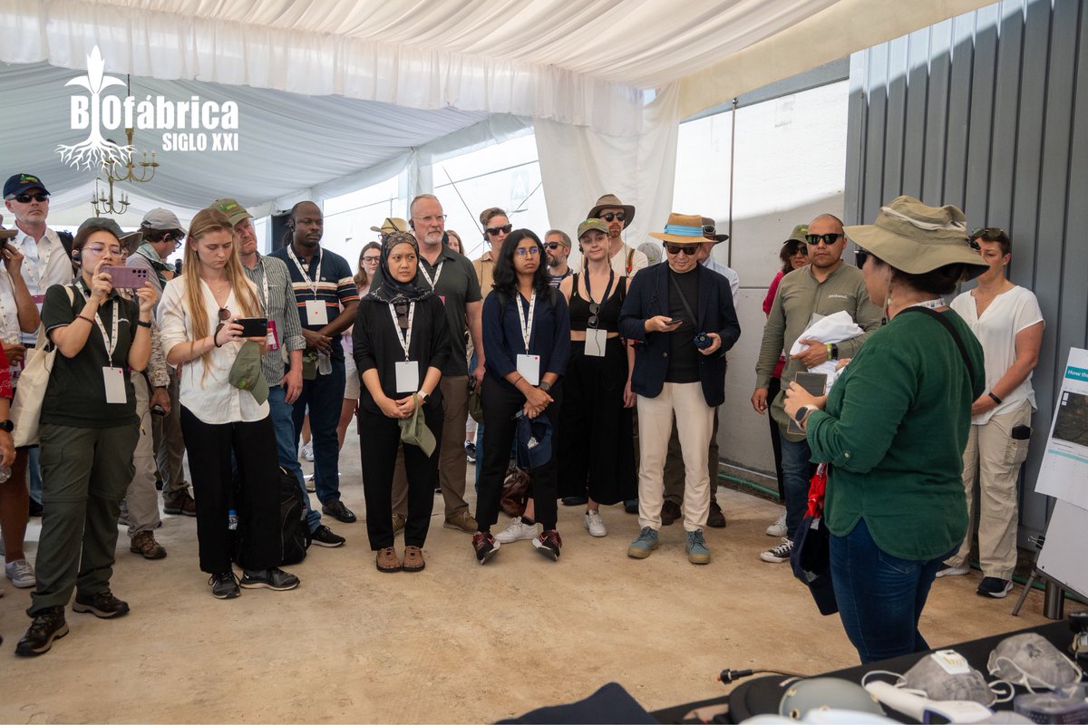 Queremos destacar la alianza conformada por <a href="/Agricultura_mex/">Secretaría de Agricultura y Desarrollo Rural</a>, <a href="/IICAMexico/">IICA México</a>, <a href="/Syngenta/">Syngenta</a>, <a href="/BIOFABRICA/">Biofábrica Siglo XXI</a>, UNC - CNPR, <a href="/BiomeMakers/">Biome Makers</a> y <a href="/Bonsucro/">Bonsucro</a> para impulsar un programa nacional de transferencia de tecnología para una producción rentable y sustentable de caña de azúcar en México. 🫱🏼‍🫲🏽🌱🌎