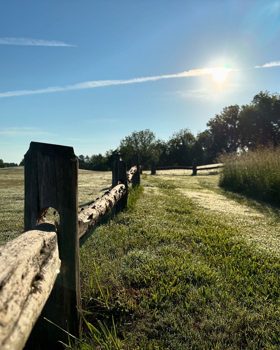 WarriorsPathGC tweet media