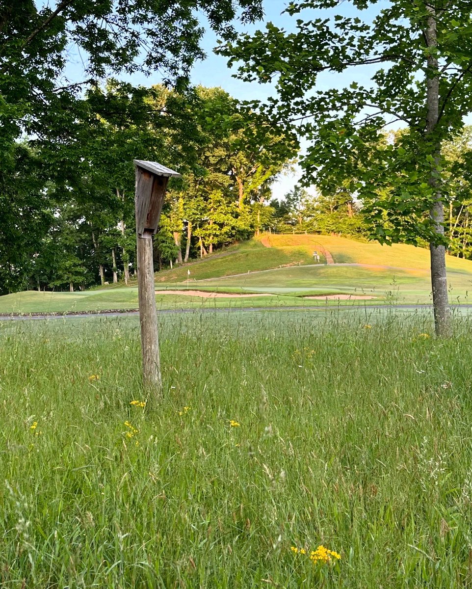 WarriorsPathGC tweet media