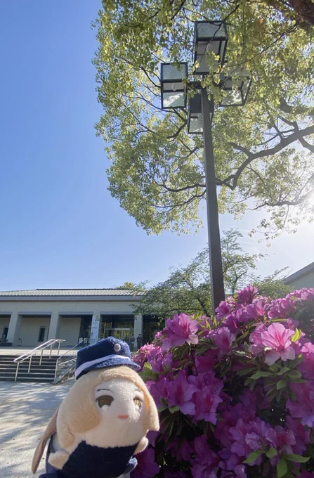 全然浮上してないGWはド快晴の福井&amp;金沢に一人旅して来ました!予定ギチギチだったけれど初めましてのフォロワーさんや高校時代の友人にも会えてナイトミュージアムにも参加して充実感ではち切れそうな1日でした 