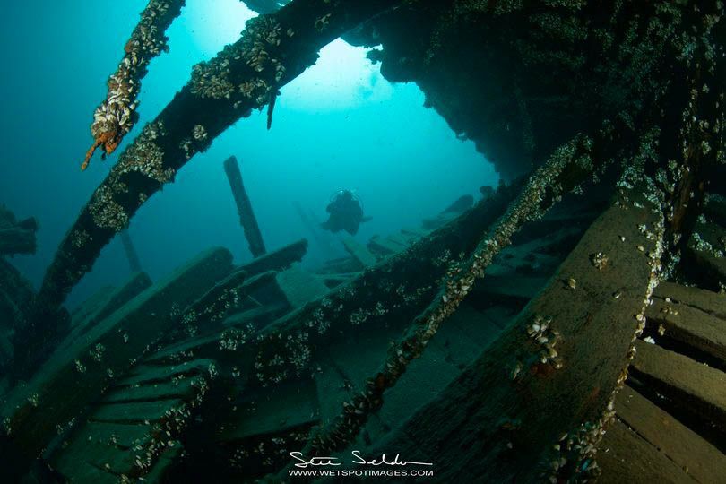 'Forest City Shipwreck'

📸 @wetspotimages 
📍 Tobermory, Ontario Canada 

Excellent photo Stuart, thanks for sharing 👌

Share your Canadian diving photos at: thescubanews.com/share/  

#Scuba #Diving #ScubaDiving #TSNC #ScubaCanada #UnderwaterPhotos #UnderwaterPhotography