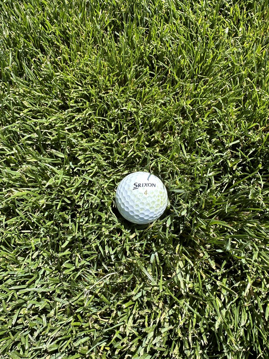 Eric Holmes tweet media