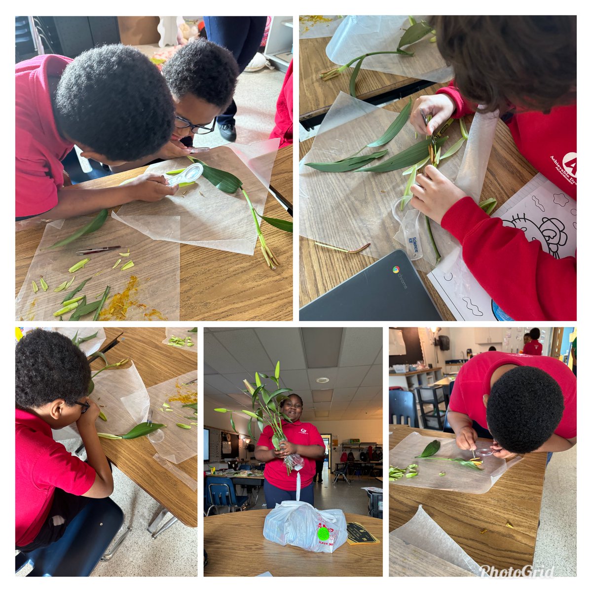 What do you do after finishing SOL’s for the day? 🔬🔭🥼🧪 Science of course! Today, we dissected flowers in 4th grade! There were a few 🤧 but Ss loved seeing the parts in real life! @SeatackDream @JLauber17