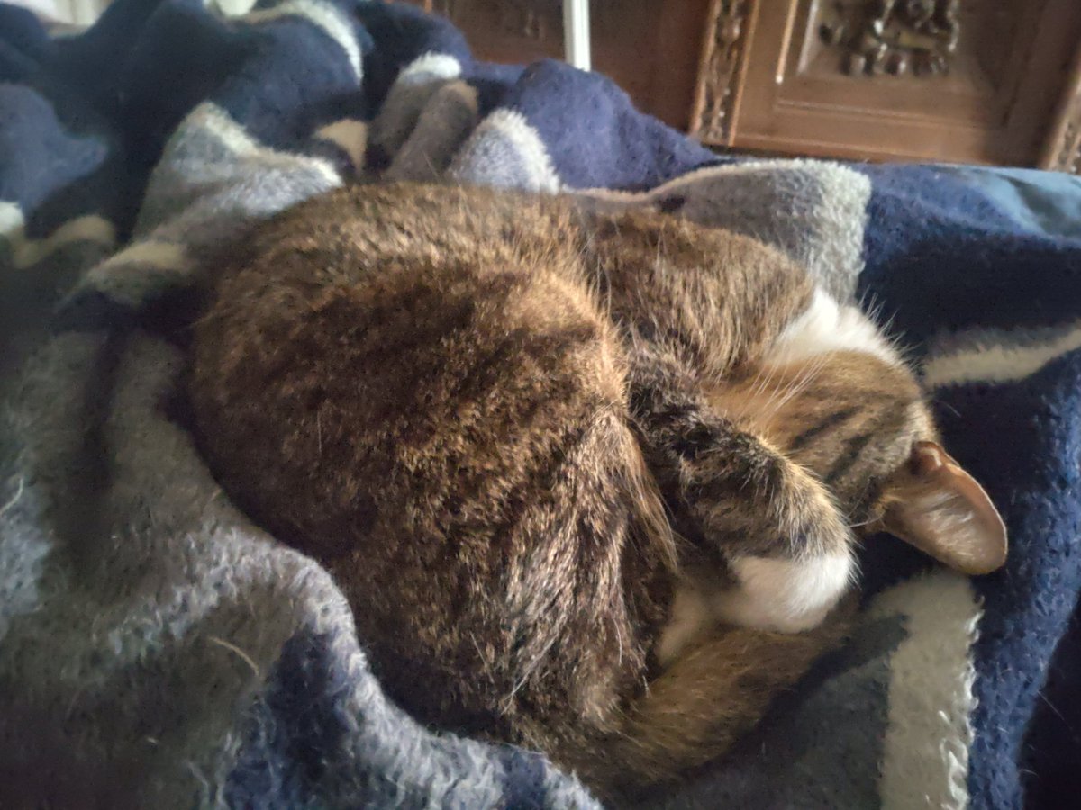 TryAgainTachi tweet media