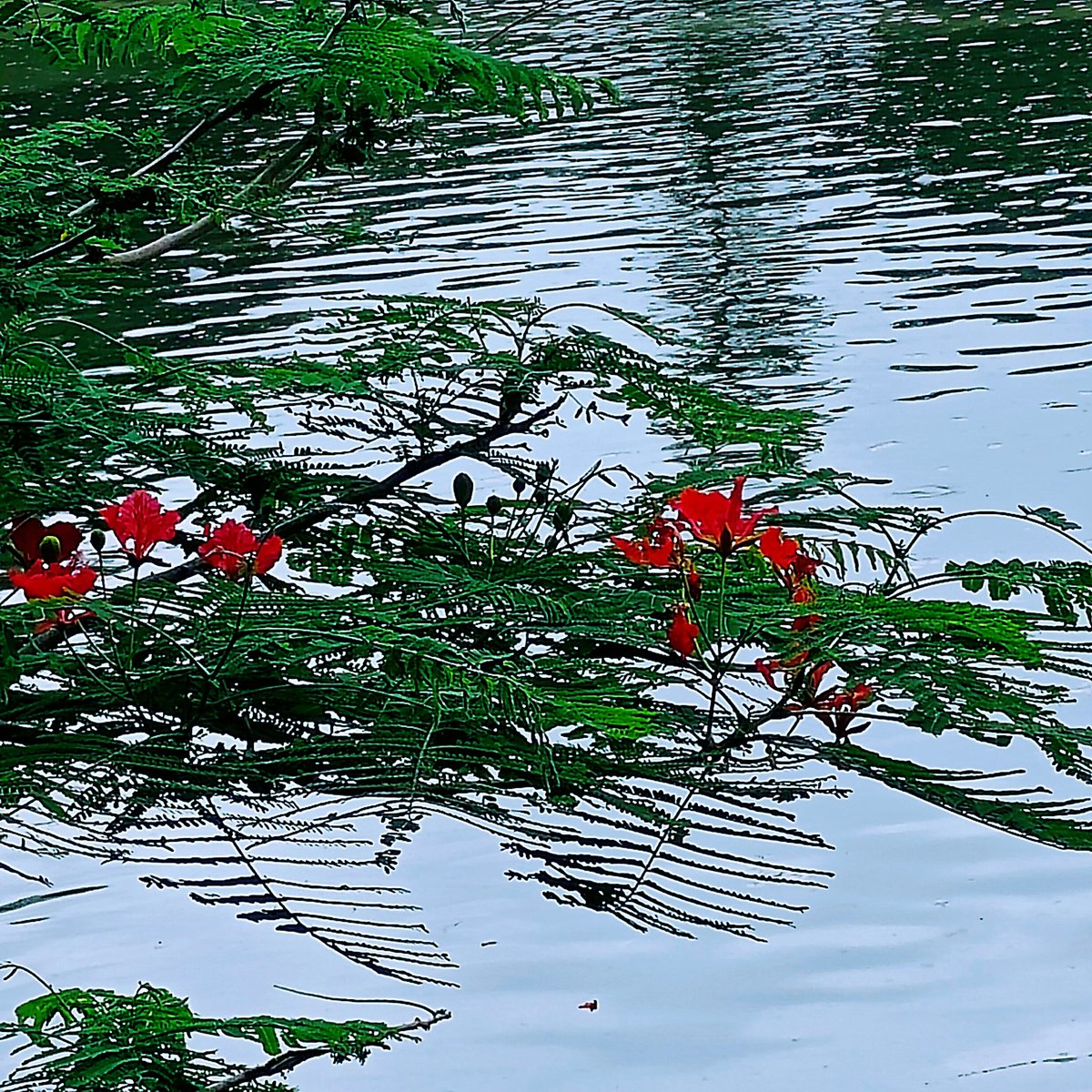 Maxman (@maxman88553338) on Twitter photo 