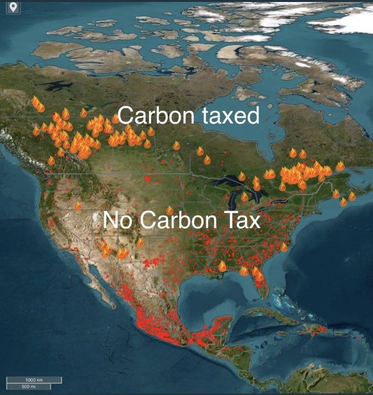 I don't know why I have to say this but paying a CARBON TAX is STUPID. Anyone who thinks it's not is STUPID too.