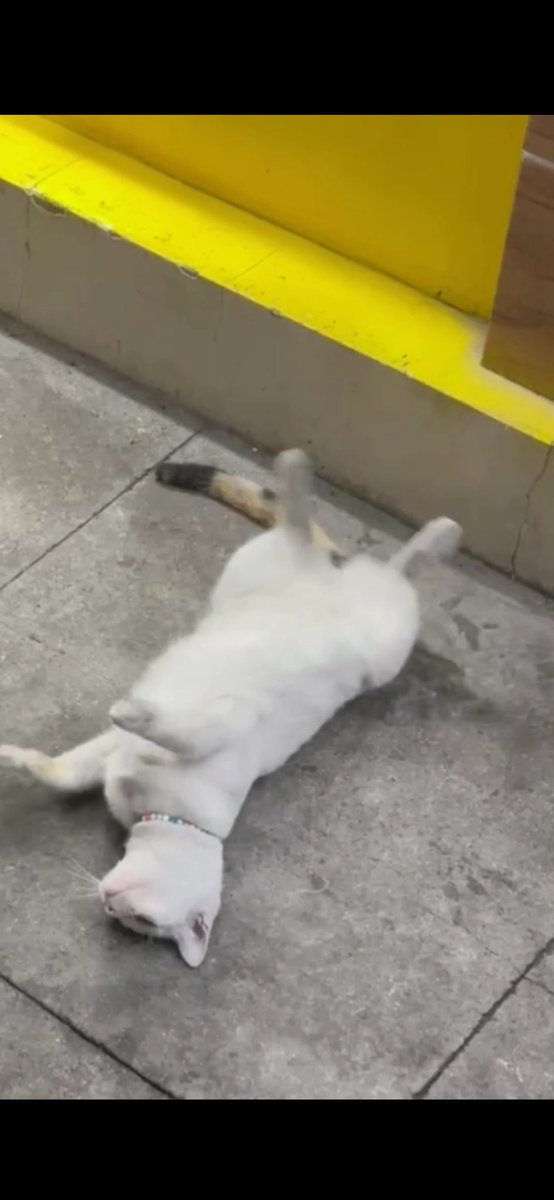 heesEungnie_'s tweet photo. Mood right now🤸 https://t.co/PdLQVg99RD