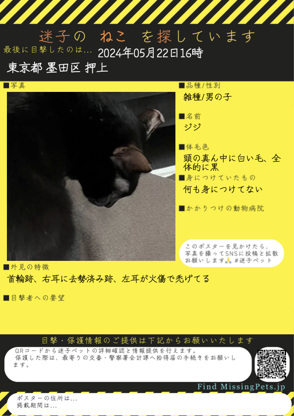 📢拡散希望
東京都墨田区 で ねこ が迷子です

名前はジジ
雑種の男の子

[詳細]
⬇️目撃・保護等の情報をお届けください🙏
find-missing-pets.jp/dashboard/esca…

[検索ワード]
#迷い猫 #猫好きさんと繋がりたい
FindMissingPets 🐈 迷子猫 迷子ペット 探しています