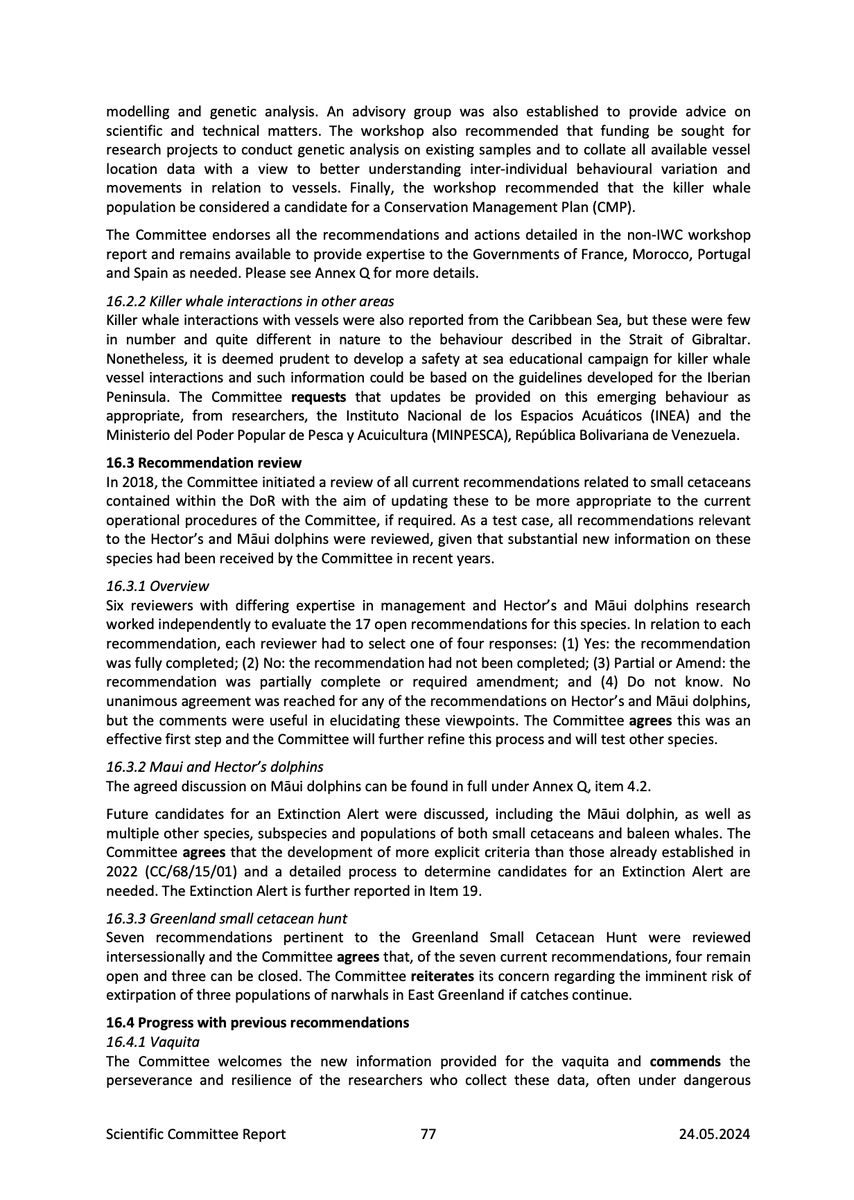 ernesto_mendez's tweet photo. en "realización de una evaluación rigurosa y transparente de redes de pesca alternativas. A pesar de décadas de consejos y recomendaciones tanto del Comité Internacional para la Recuperación de la Vaquita #CIRVA como del Comité Científico de la Comisión Ballenera Internacional" https://t.co/Oe0HkmANbU