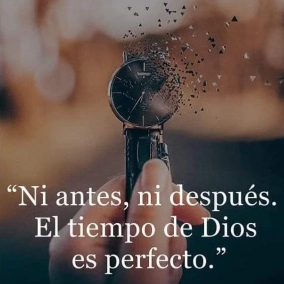 DiosUneSusHijos's tweet photo. https://t.co/1vDZJHGvKR