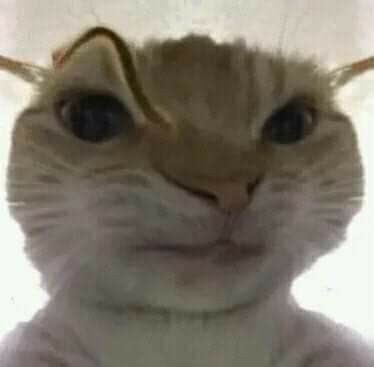 كيف للحين محد ترجم حلقه جيسونغ! ب hitv ترجمه آليه لسا ودراما سلاير مانزلها!!!!