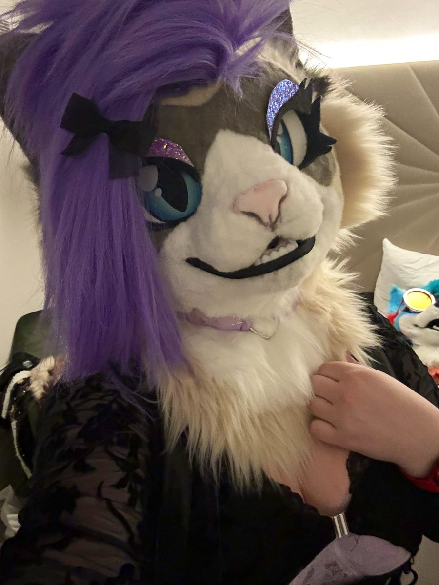 Amity ✨🌙 - Cfz#295 (@ittybittygrem) on Twitter photo Collected this fucking adorable collar from <a href="/WPWardrobe/">WolfPackWardrobe</a> yesterday n AAAAAAA it fits so well with Amity 😭
10000% recommend them, GO BUY THEIR STUFF AT THEIR POP UP SHOP IN THE DEN TOMORROW 👀👀👀👀 Collected this fucking adorable collar from <a href="/WPWardrobe/">WolfPackWardrobe</a> yesterday n AAAAAAA it fits so well with Amity 😭
10000% recommend them, GO BUY THEIR STUFF AT THEIR POP UP SHOP IN THE DEN TOMORROW 👀👀👀👀