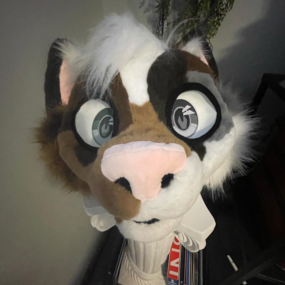 kaikokitty's tweet photo. he’s so menacing
🪡: @EquinoxKitty https://t.co/n6xbDbIfi6