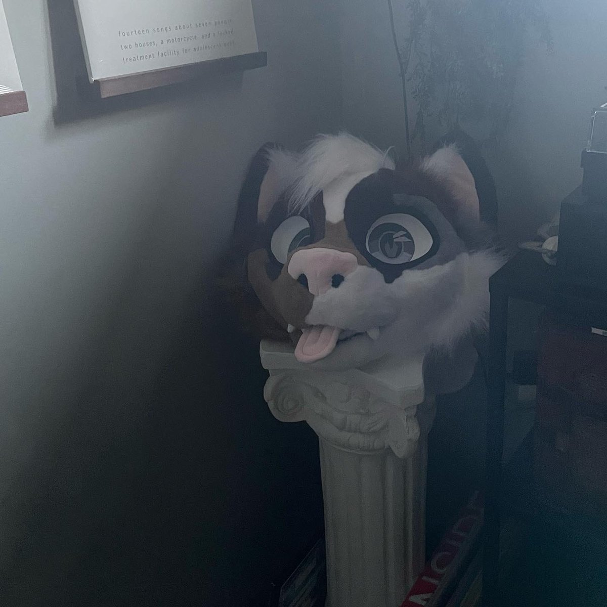 kaikokitty's tweet photo. he’s so menacing
🪡: @EquinoxKitty https://t.co/n6xbDbIfi6
