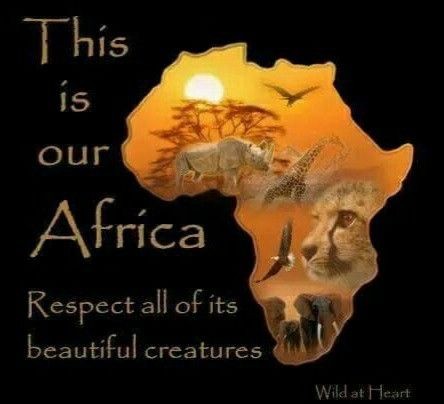 Happy #AfricaDay!